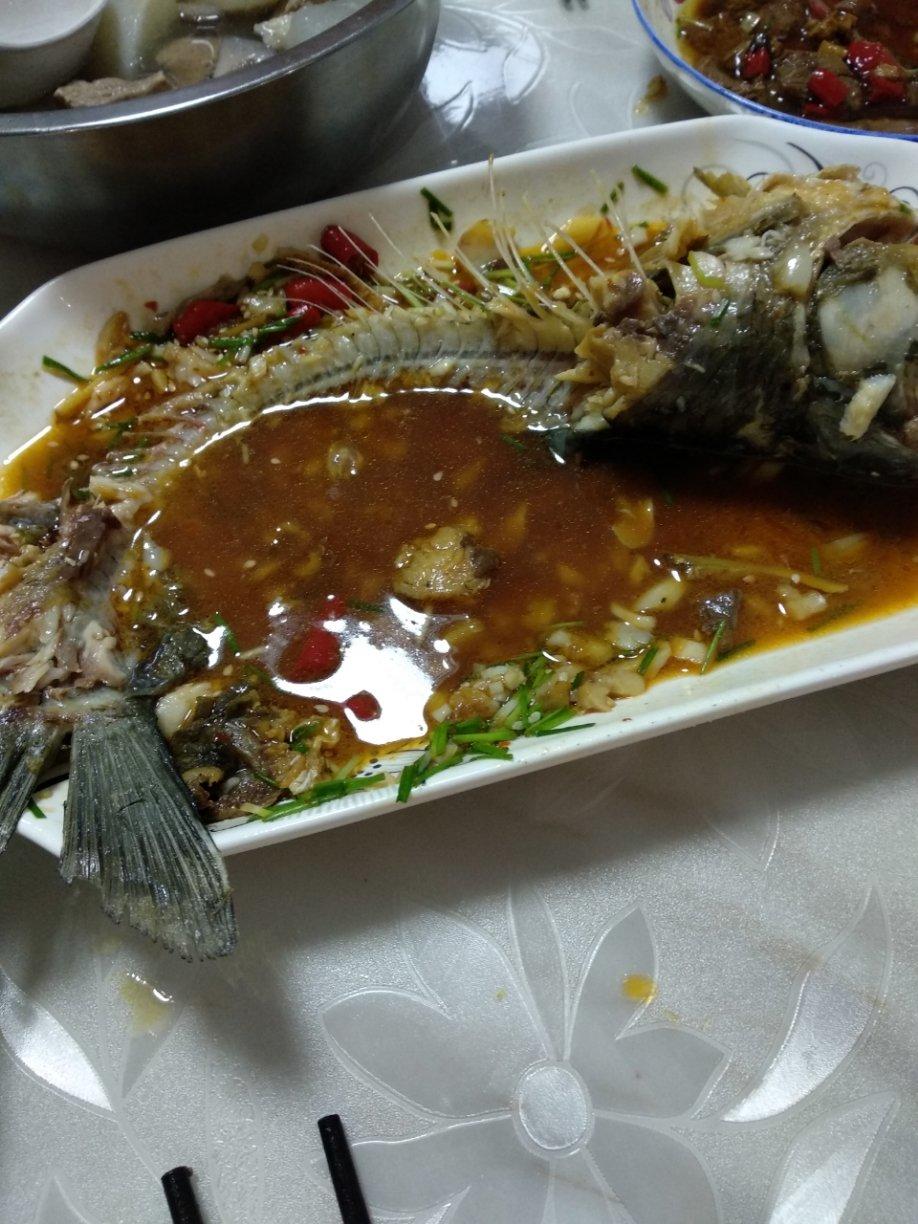 乖乖的杂食喂养