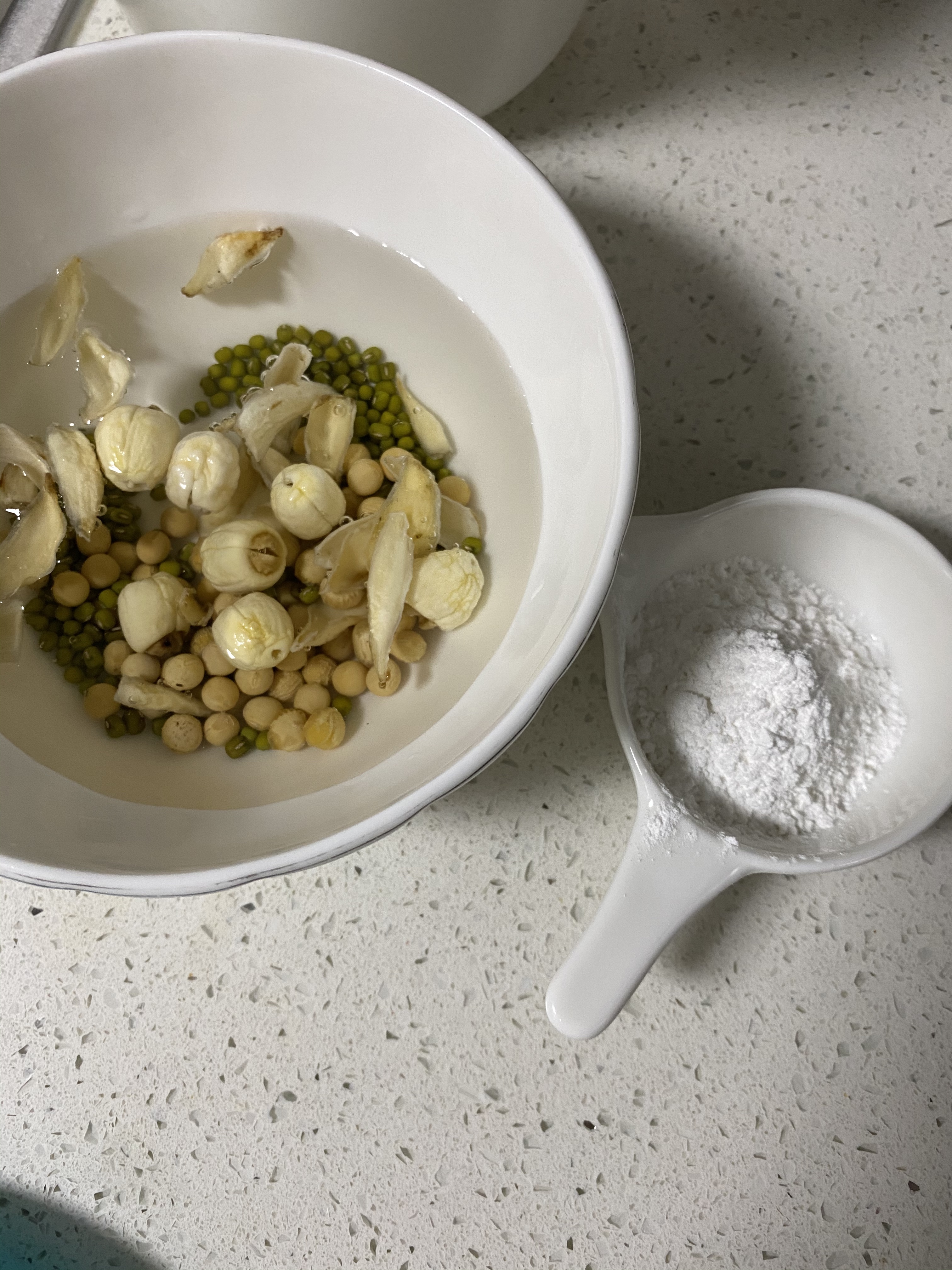 百合莲子绿豆豆浆（清热润肺）（2人份）的做法