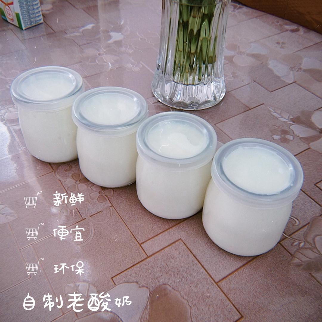 酸奶机自制酸奶