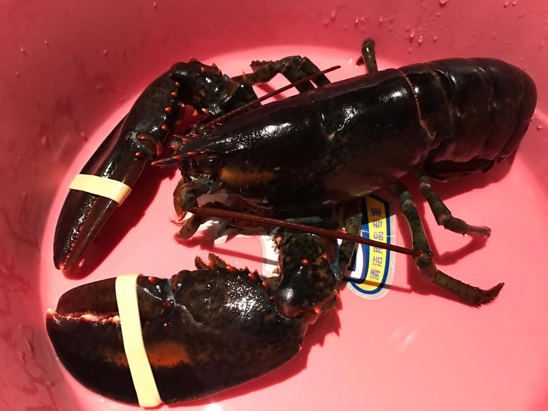 蒜蓉龙虾蒸粉丝