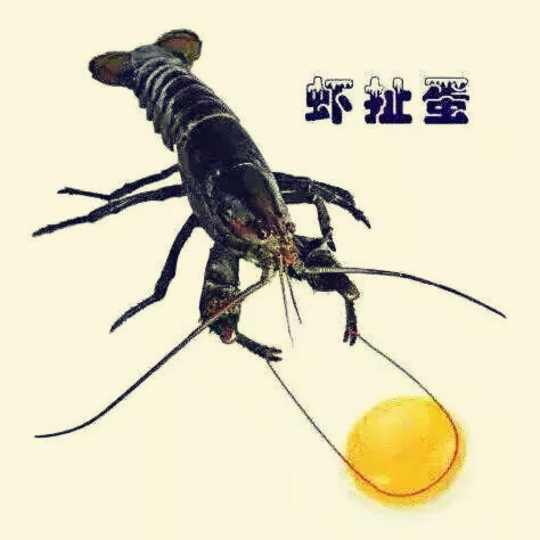 多做少吃闻味减肥