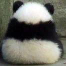 花花的画画世界