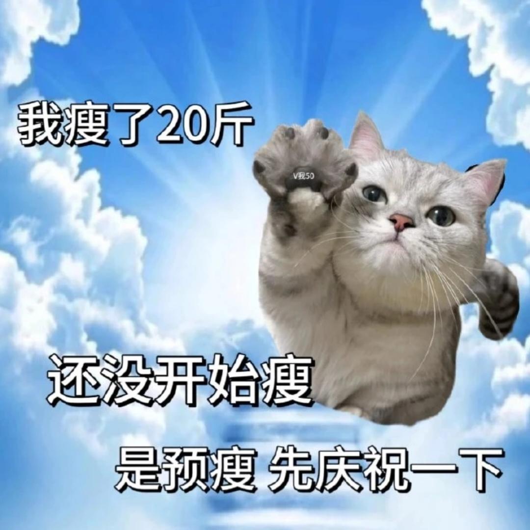 可乐鸡翅的菜单