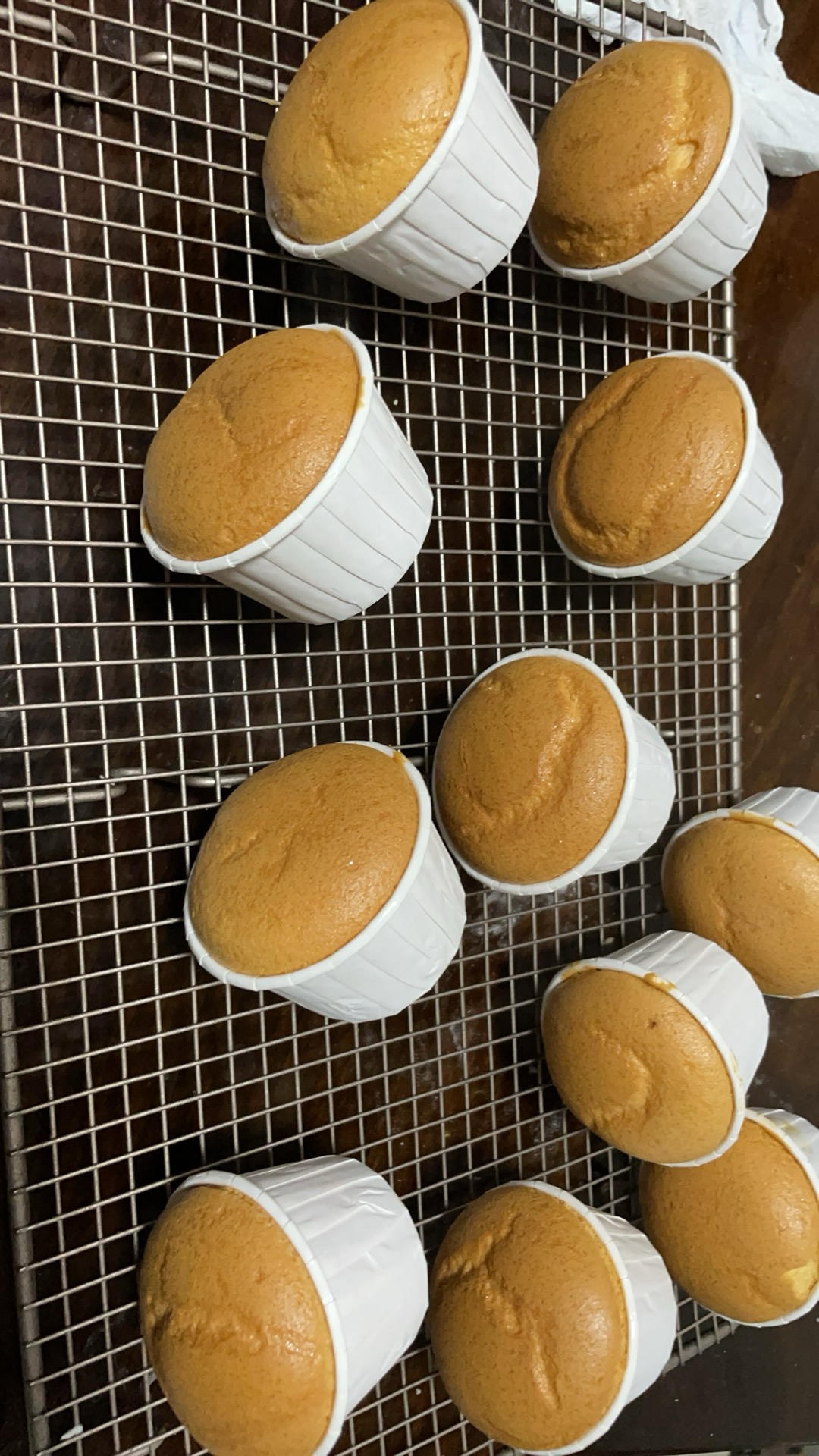圣诞树🎄纸杯蛋糕/氛围感拉满