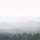 深自缄默-如云漂泊