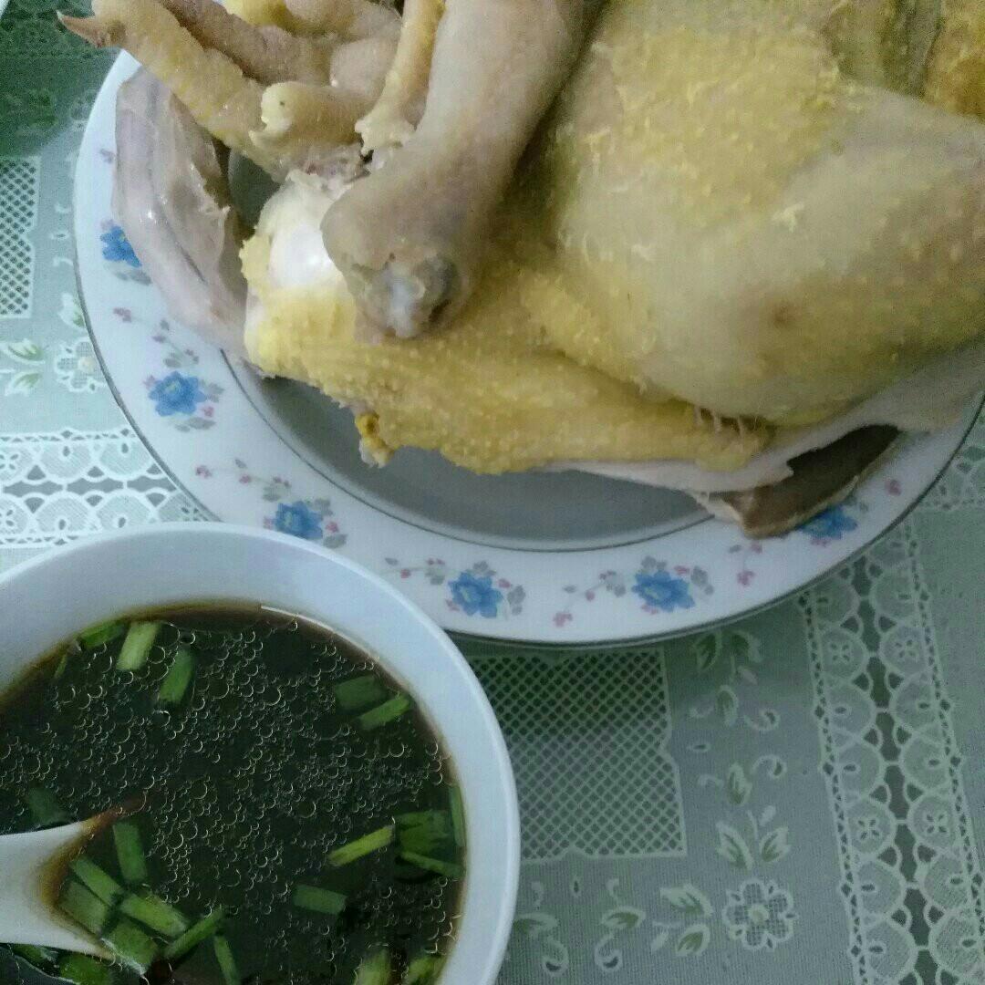 白斩鸡—独家秘制蘸酱料