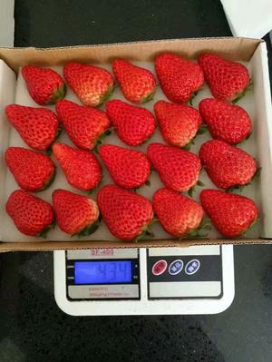 水果花做法，草莓塔怎么做好吃的做法 步骤1