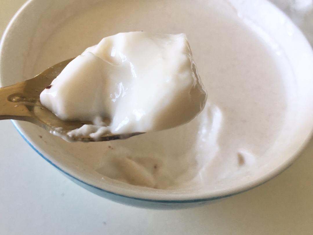 生酮版椰子冻（超简易）