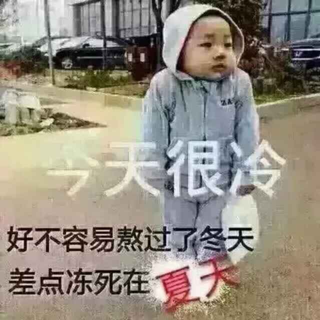 今天很冷的厨房