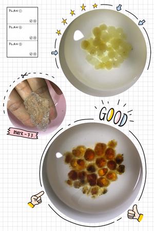 雪燕桃胶皂角米银耳羹的做法 步骤1