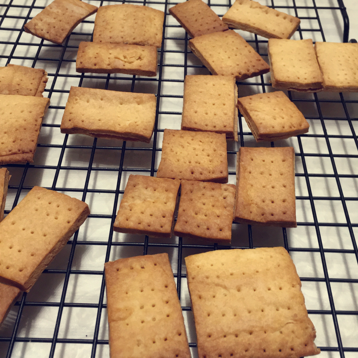 高钙奶盐苏打饼干