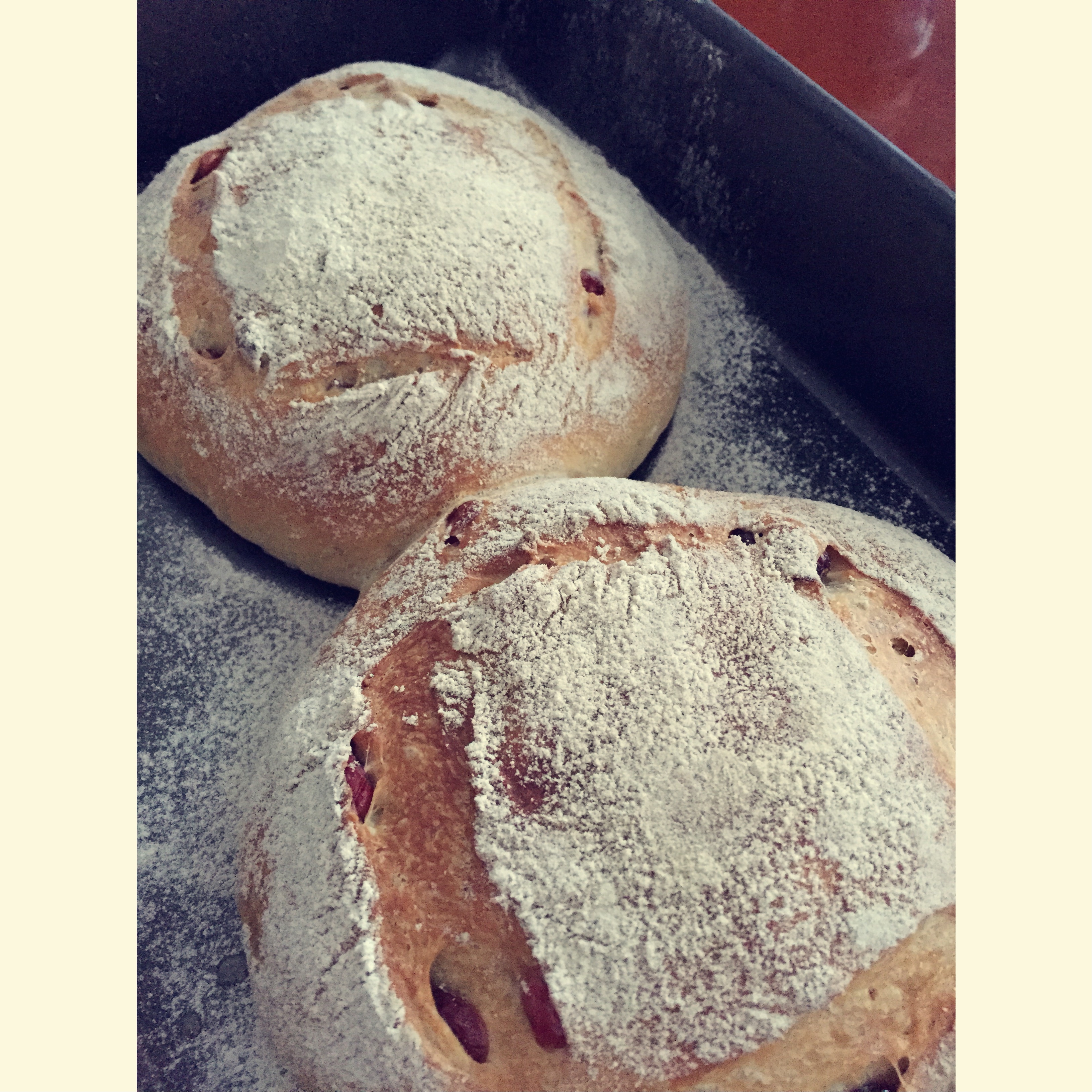 黑麦蔓越莓软欧包