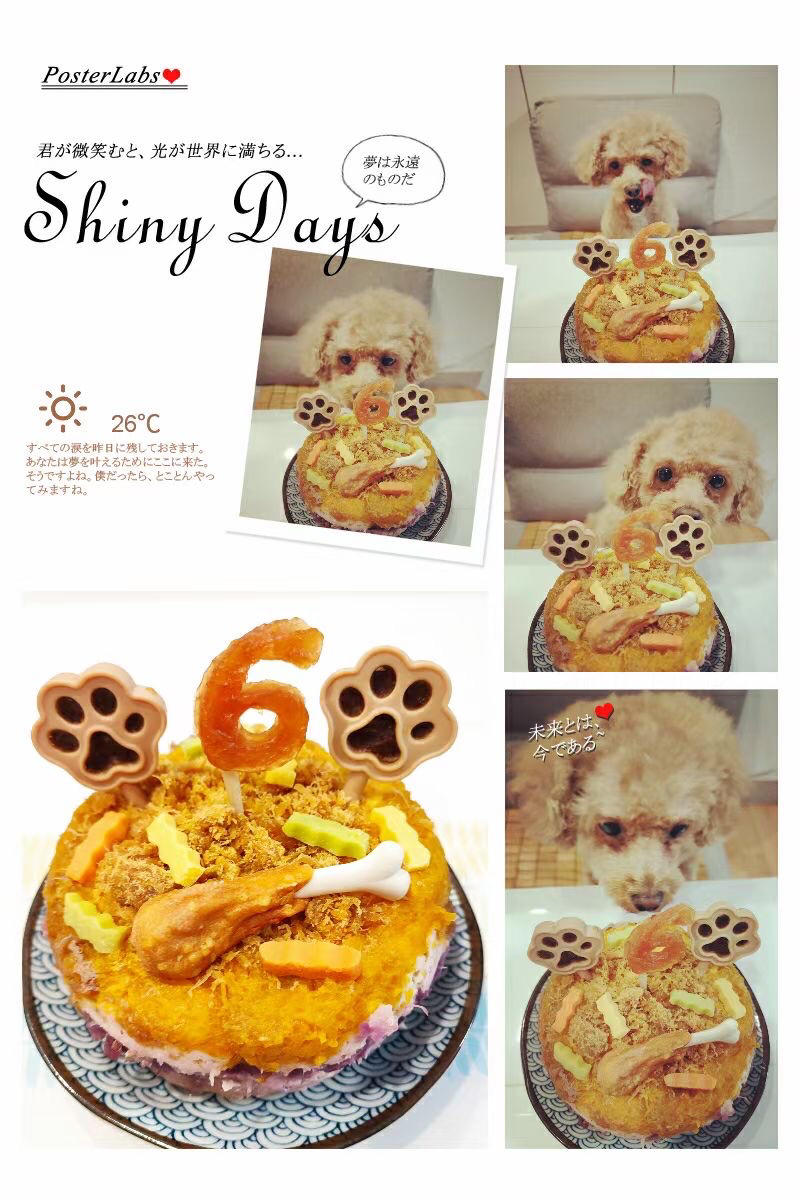 狗狗蛋糕 宠物蛋糕 无谷健康