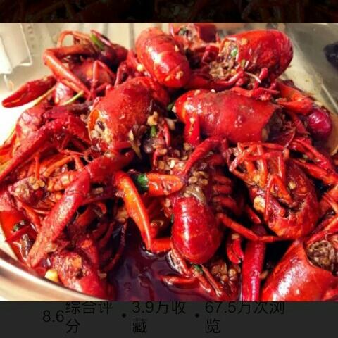 贪吃的小猫咪666