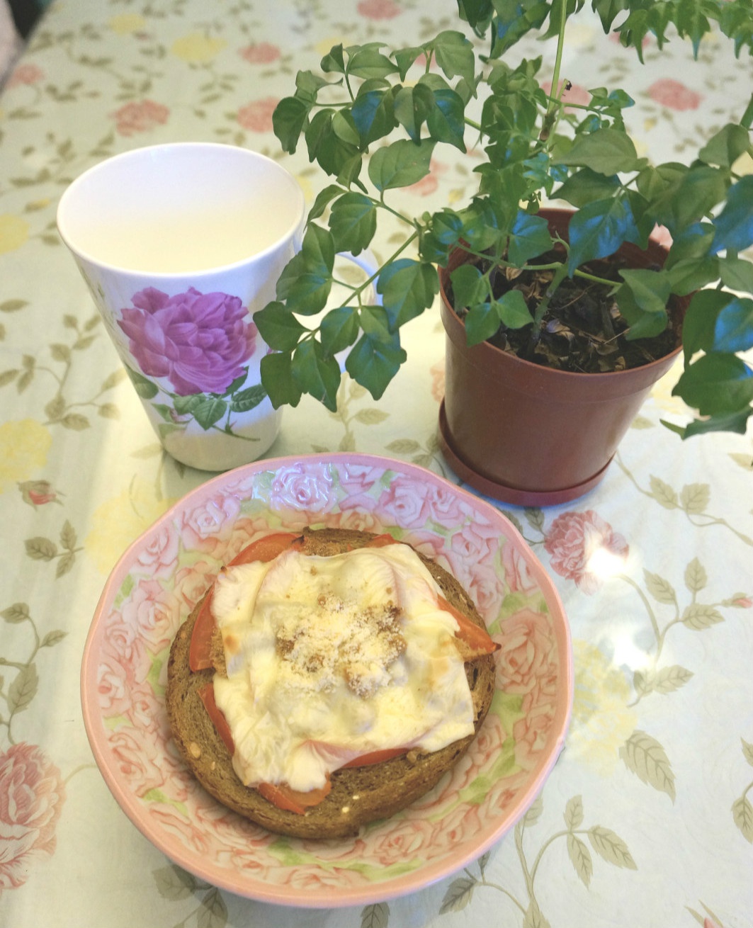 花的懒人料理之鯷鱼风味鲑鱼披萨吐司