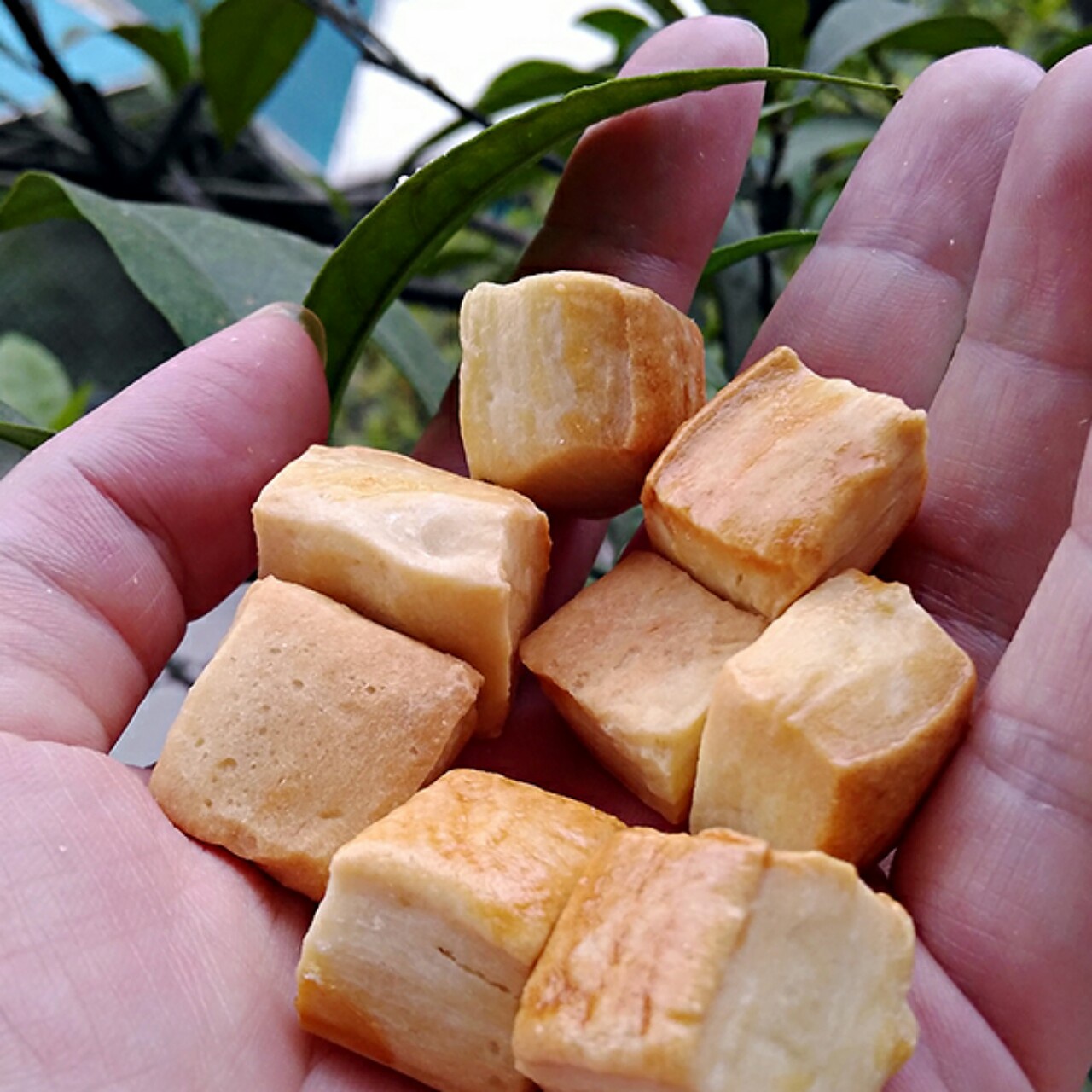 阿拉棒