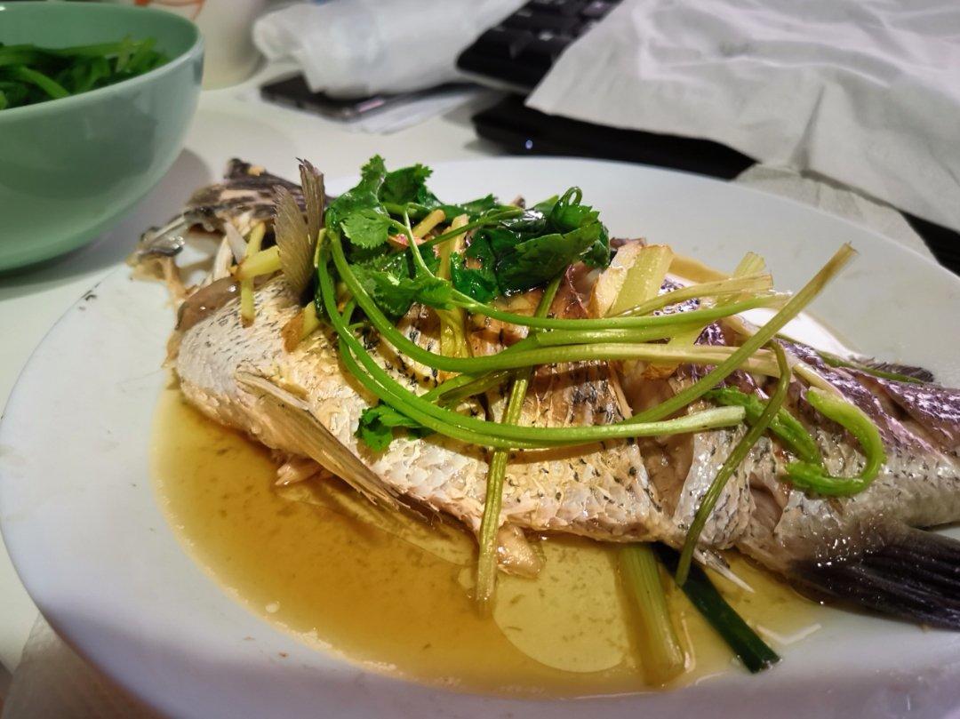 清蒸金目鲈（简易版）