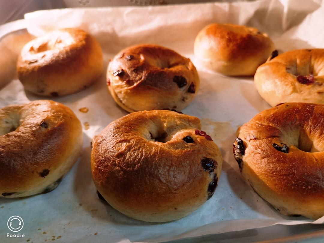 来吃圈圈吧！——全麦蔓越莓贝果