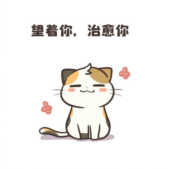 喵_小猫咪