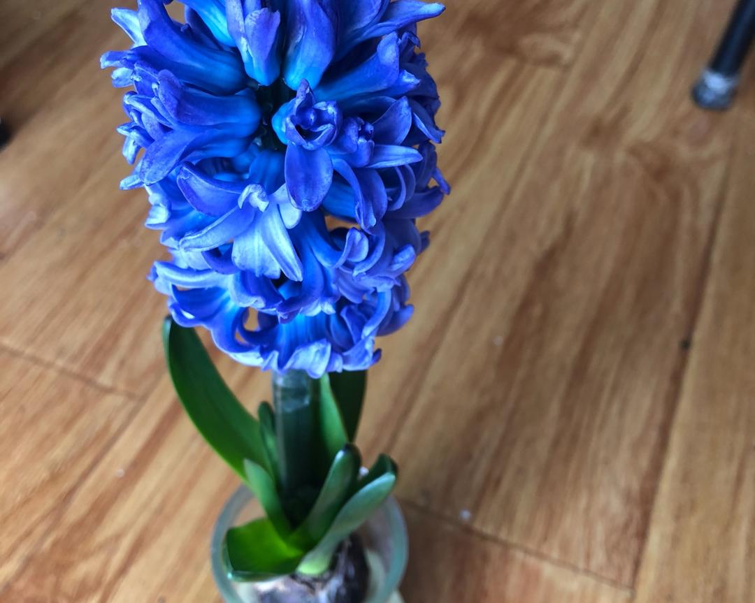 破壁机食谱（二人份健康饮食）