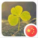 欢喜素心