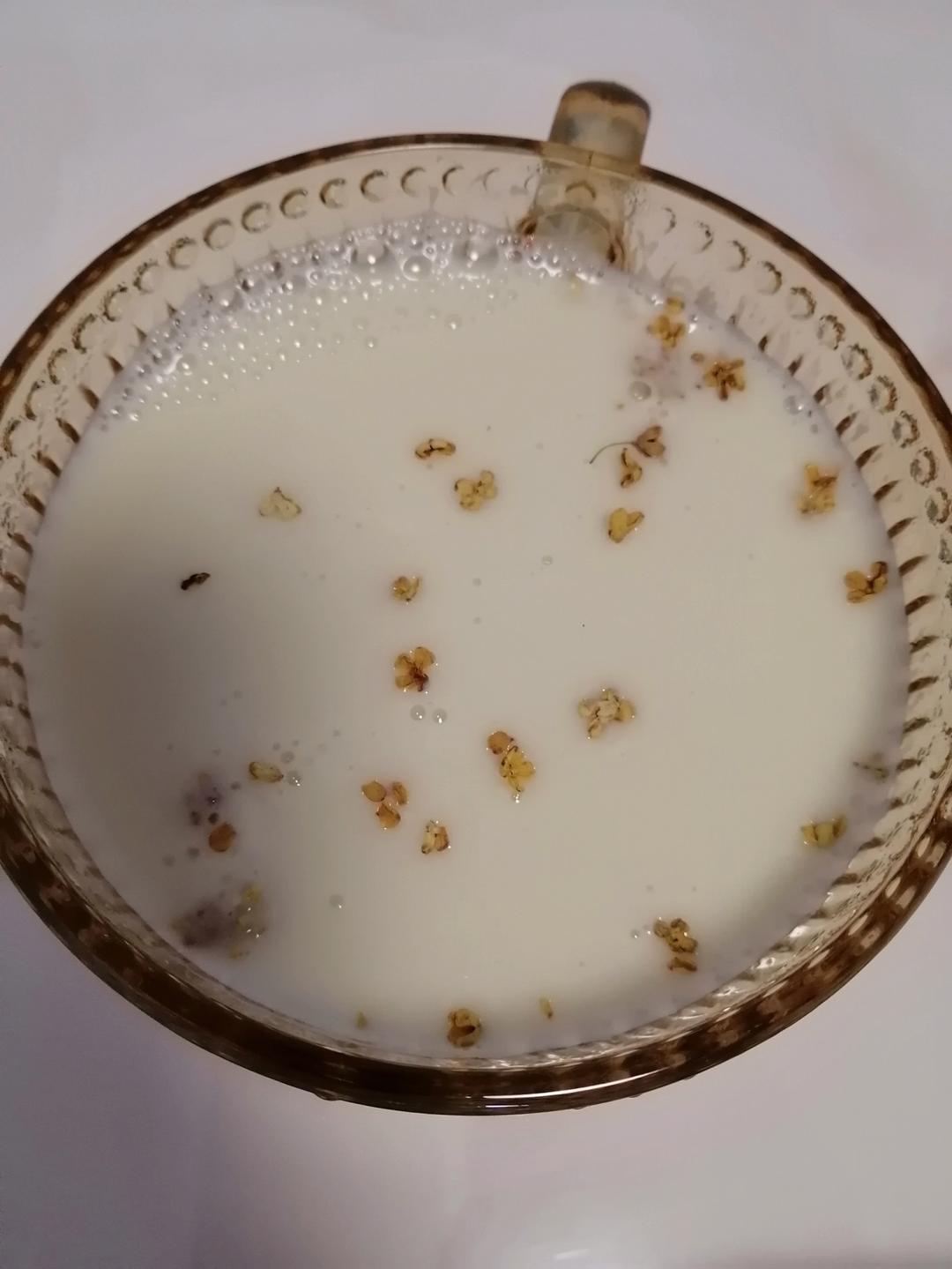 桂花豆浆（TOPLIFE破壁机）