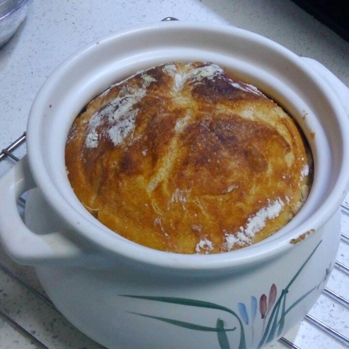 欧包/乡村面包-无油不用揉 No Knead Bread