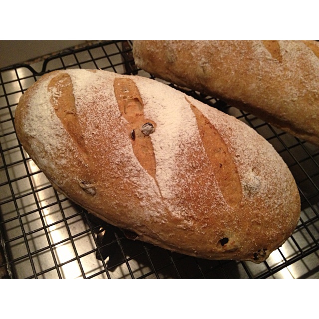 全麦核桃包～软欧包