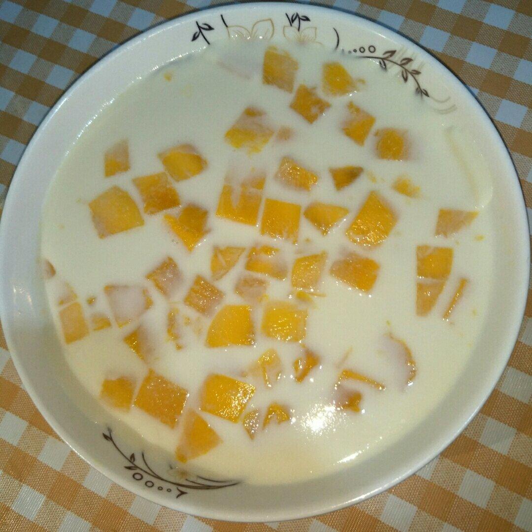 芒果牛奶布丁