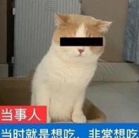 努力努力JS