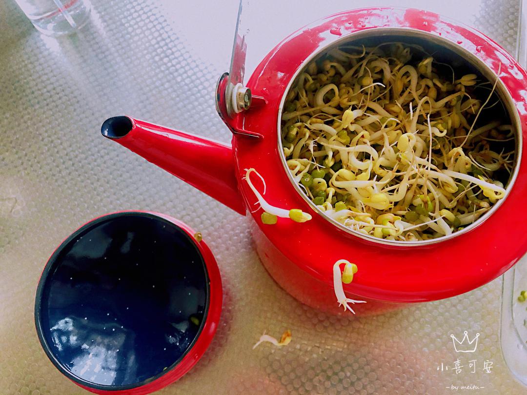 发豆芽～只用一把壶的做法