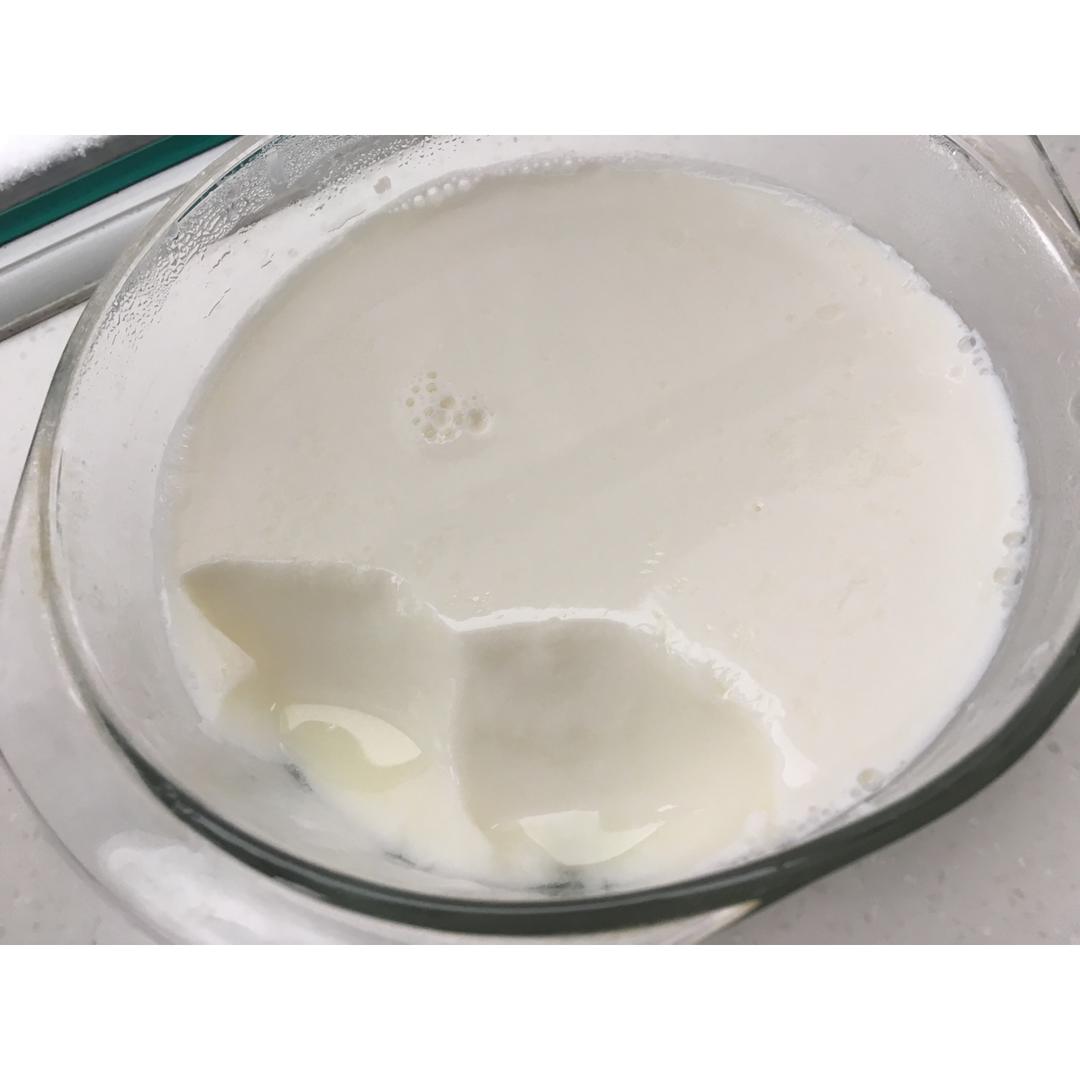 无需酸奶机的自制酸奶
