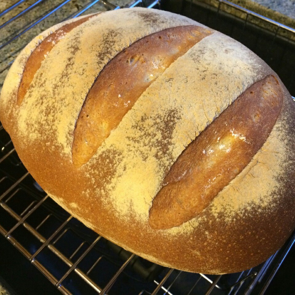 保罗版经典英式面包——布鲁姆 Bloomer