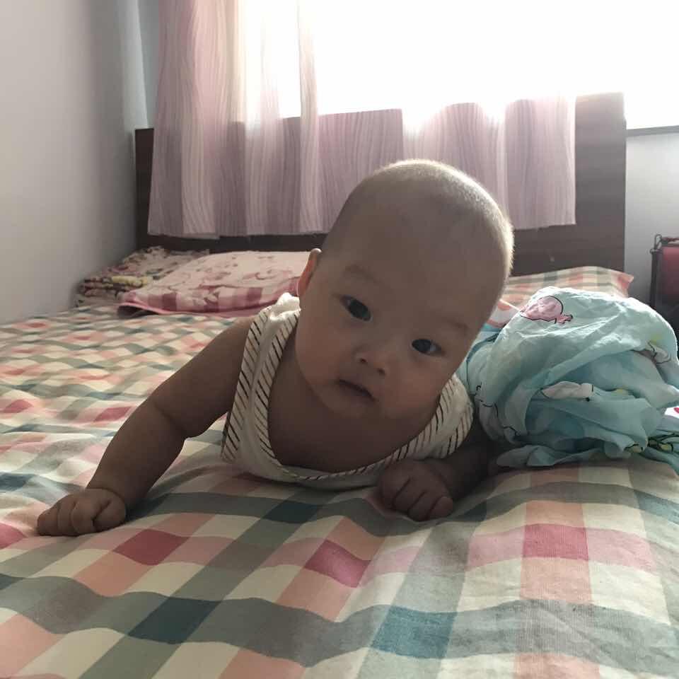 大 FEI