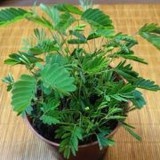 沁福堂