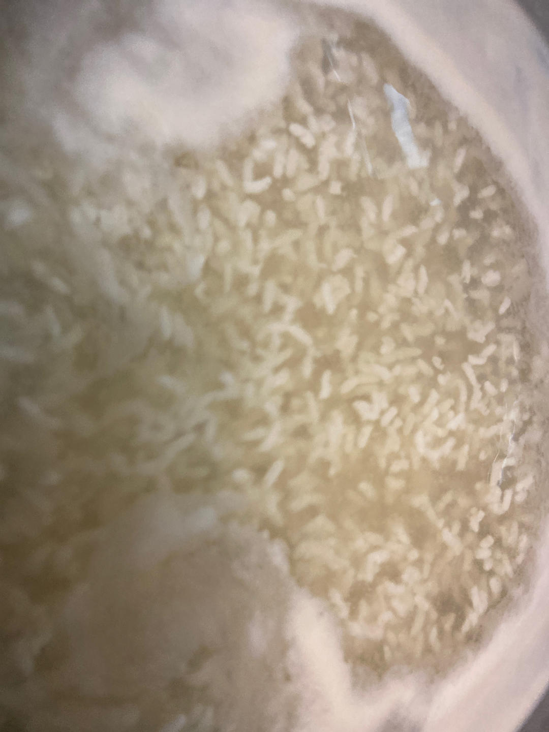 朝鲜族饮料【甜米露】식혜  韩式甜米露