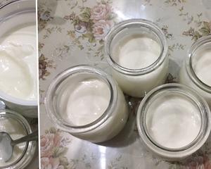 养生壶自制酸奶的做法 步骤5