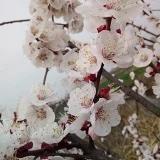 手机用户2801_ig9b