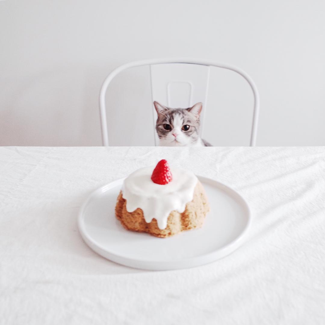 烤箱做蛋糕（戚风蛋糕的做法）