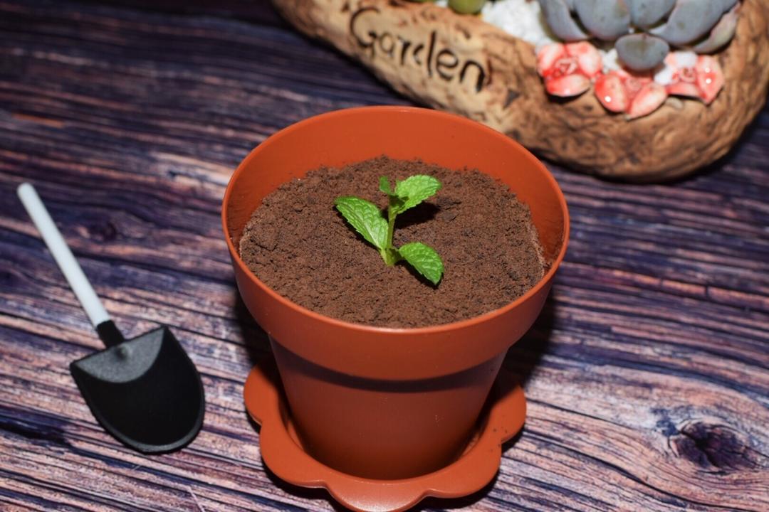 《Tinrry下午茶》教你做木糠布丁蛋糕