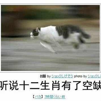 徐徐徐秀丹啊