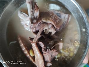 陈皮绿豆乳鸽汤的做法 步骤1