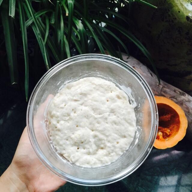 老面酵头 Bread Starter