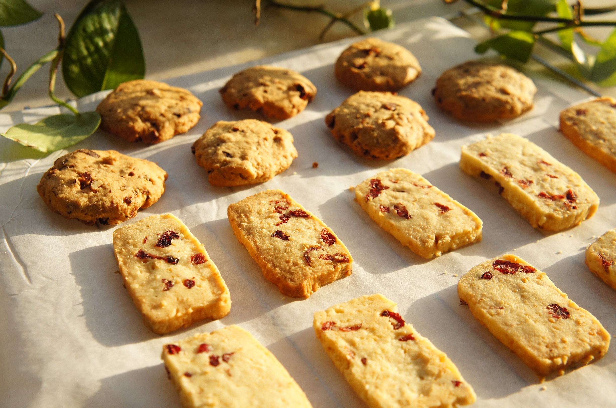可酥可脆的蔓越莓饼干（无蛋版）的做法