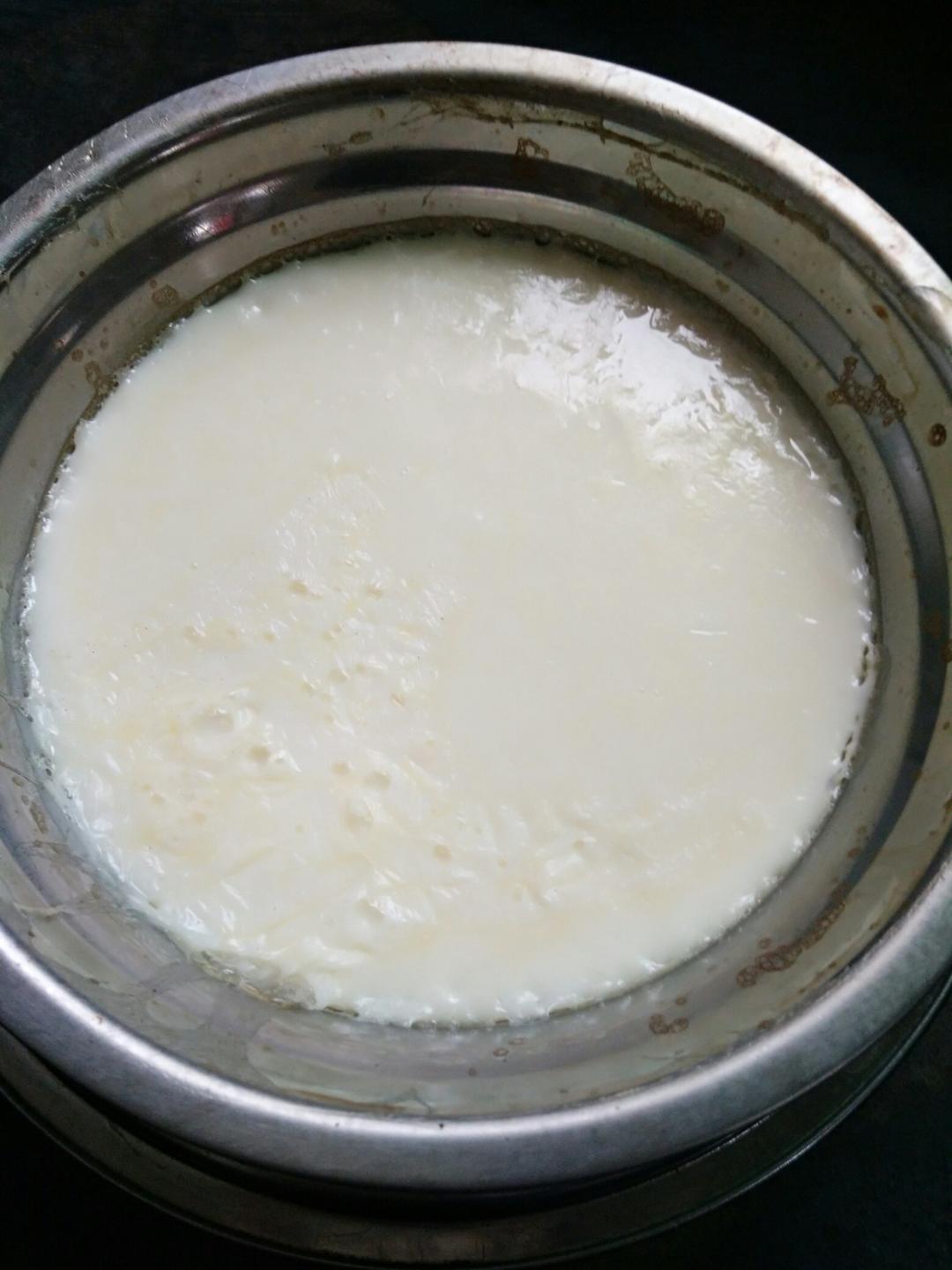 简易版双皮奶