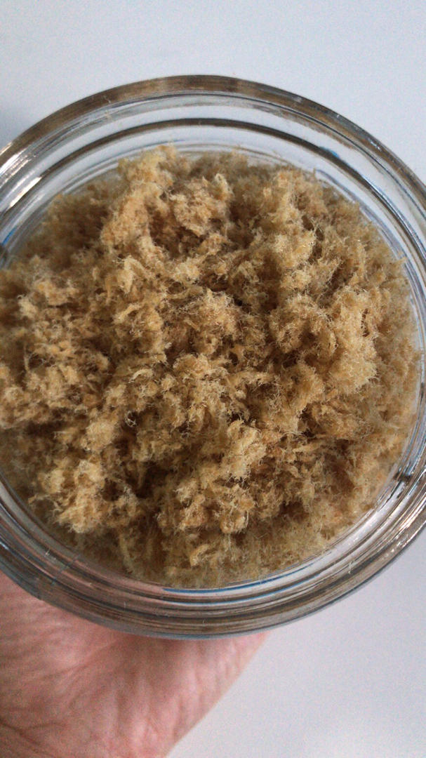 面包机自制肉松