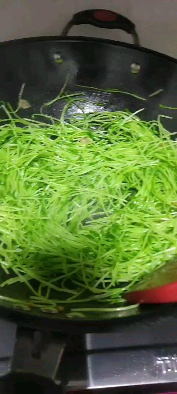 清新豌豆苗