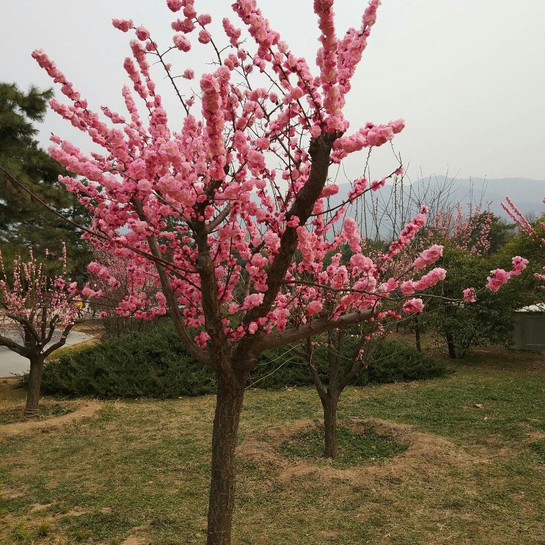 熊大的宝贝的厨房