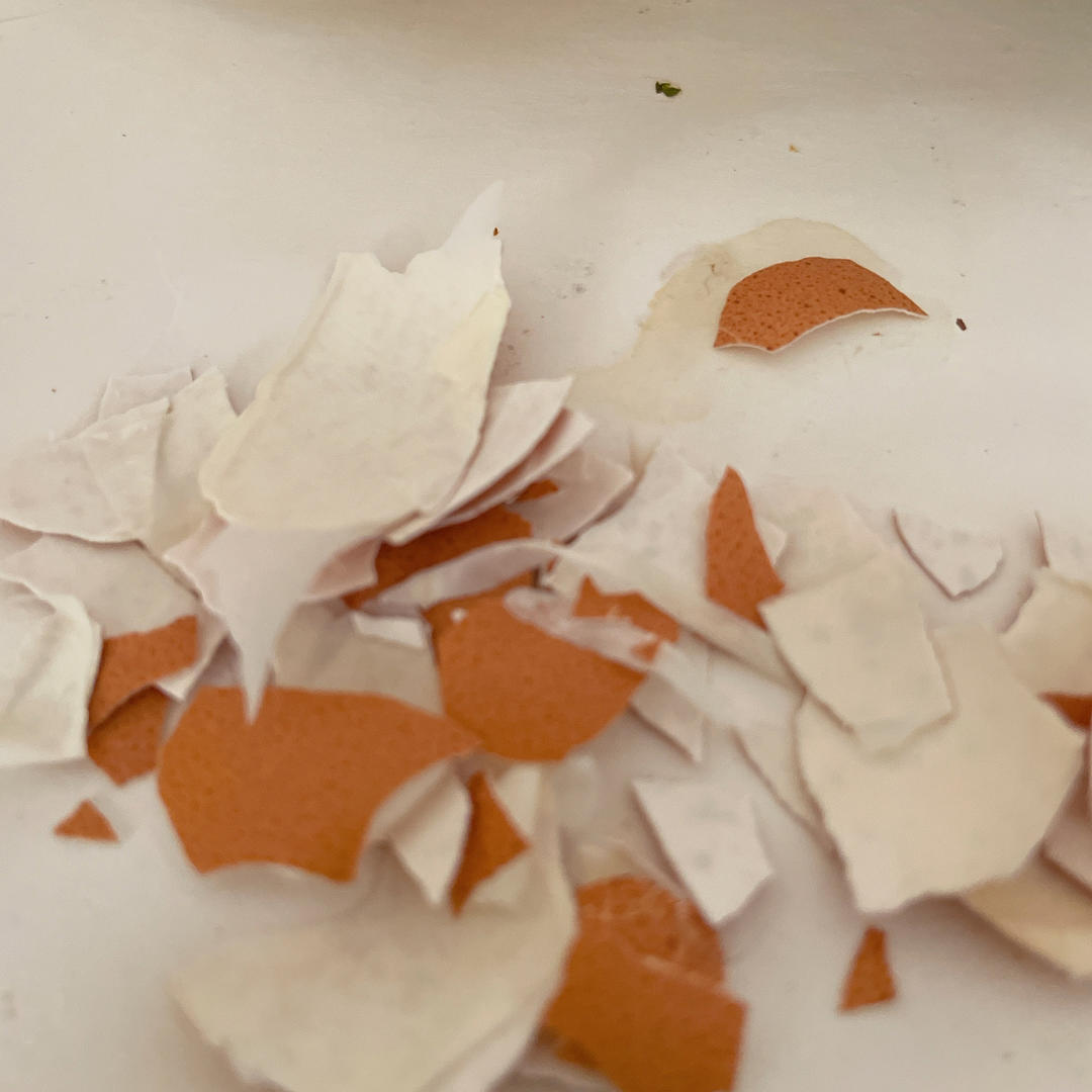 快速漂亮的水煮鸡蛋法