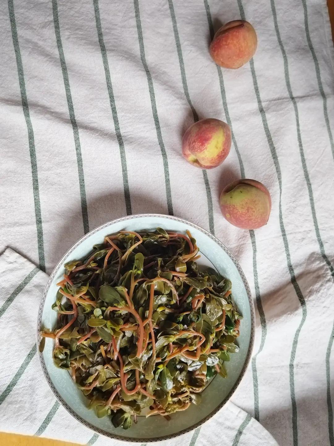 凉拌马齿菜